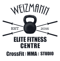 mma studio Sticker by LIAV