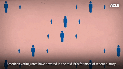 Voting Election 2020 GIF by ACLU