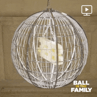 ballinthefamily season 4 episode 20 facebook watch ball in the family GIF