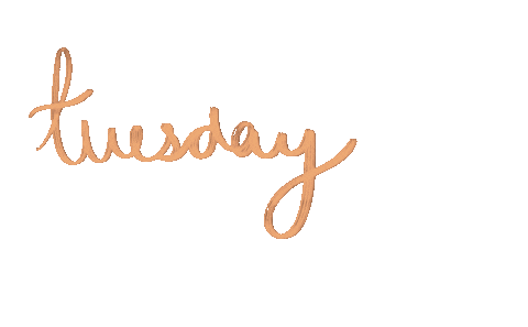 Day Friday Sticker