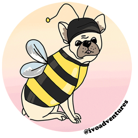 puppy friend Sticker by Ivo Adventures