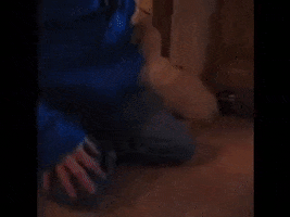 Greeting Golden Retriever GIF