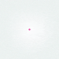 Pink Life GIF by ArmyPink