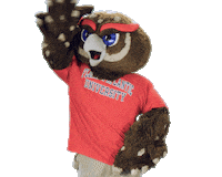 Confused Boca Sticker by Florida Atlantic University