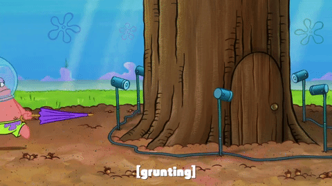 season 9 episode 23 GIF by SpongeBob SquarePants