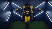 Go Blue College Football GIF by Michigan Athletics