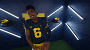 Go Blue College Football GIF by Michigan Athletics