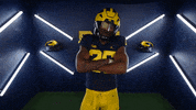 Go Blue College Football GIF by Michigan Athletics