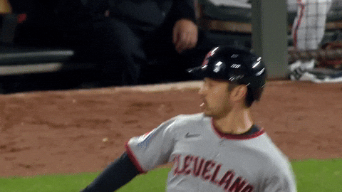 Sport Baseball GIF by MLB