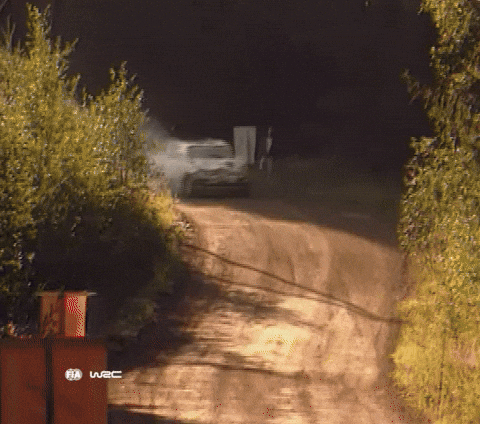 Coming Home Motorsport GIF by FIA World Rally Championship