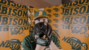 Baseball Bison GIF by NDSU Athletics