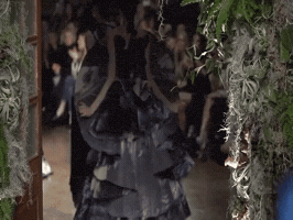 GIF by Awesome GIFs
