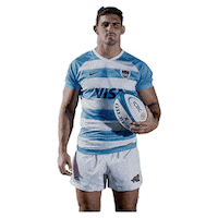 Argentina Rugby Sticker by icbc
