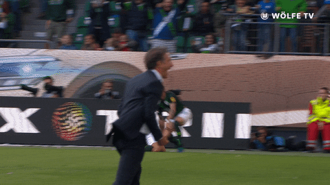 football party GIF by VfL Wolfsburg