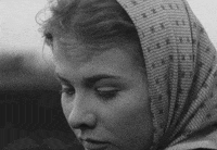 Film No GIF