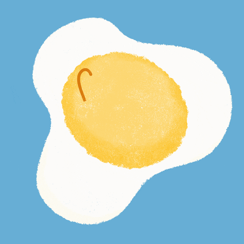 sincerely__sab yellow breakfast sunny egg GIF