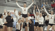 Celebration Volleyball GIF by Colgate Athletics