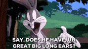 GIF by Space Jam