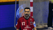 Telekom Veszprem Sport GIF by SEHA