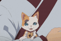 Cat Maomao GIF