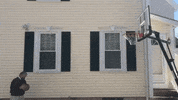 Joe Kennedy Basketball GIF by Ed Markey