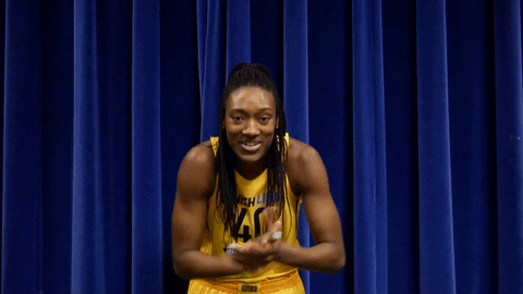 basketball sport GIF by Indiana Fever