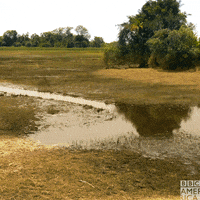 North America Water GIF by BBC America
