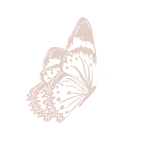 Butterfly Acreditar Sticker by VIPAPIER