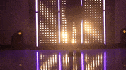 Washington Huskies Softball GIF by NCAA Championships
