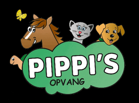 Animal Rescue Curacao GIF by Pippi's opvang
