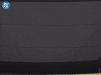 Swag Squad GIF by DC