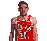 Tomas Satoransky Sticker by Chicago Bulls