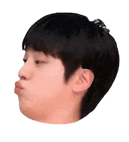 Bts Jin Sticker