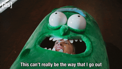 Die Rick And Morty GIF by Adult Swim