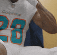 Miami Football GIF by Miami Dolphins
