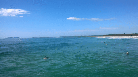surf australia GIF