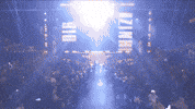Esports Austin GIF by BLAST