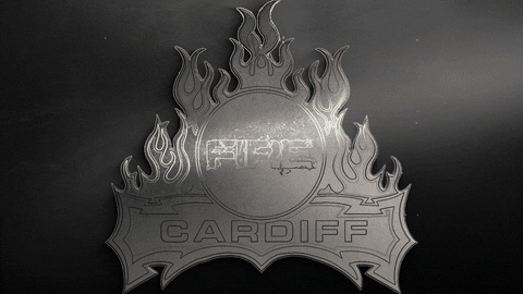 Logo Nihl GIF by Cardiff Fire