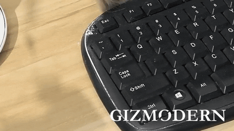 GizModern giphyupload GIF