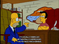 Season 4 Interview GIF by The Simpsons