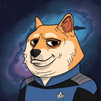 Star Trek Dog GIF by Doge Pound