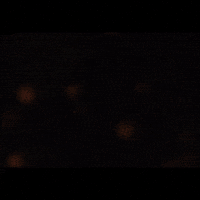 Vikings Tbs GIF by THE BEARD STRUGGLE