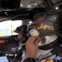 Interview Remove GIF by FIA European Rally Championship