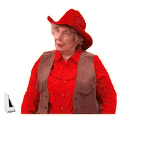 usa network television Sticker by Chrisley Knows Best