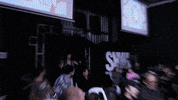 SHWAWrestling entrance southern hemisphere wrestling alliance shwa gif ryan allan GIF