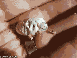 eggs hatching GIF by Cheezburger