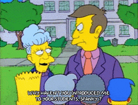 Season 1 GIF by The Simpsons