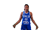 Olbis Sticker by Italbasket