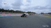 Sport Wow GIF by MotoGP™