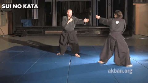 Martial Arts Mma GIF